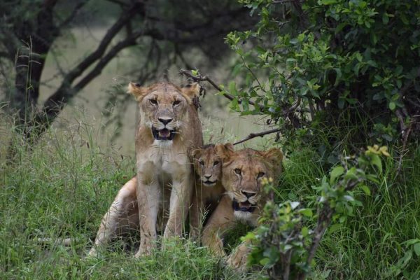 WhatsApp Image 2023-05-27 at 00.18.31