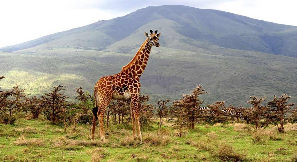 Arusha National Park