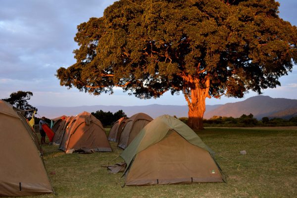 Tanzania Camping Safari